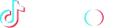 TikTok Logo